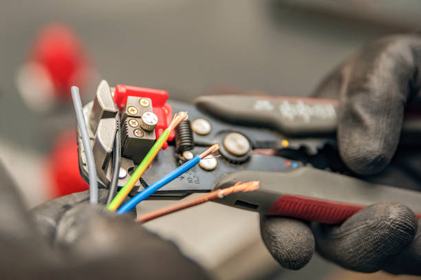 Best Affordable Electrician  in Rice, MN