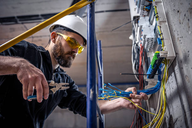 Best Electrician for Home Renovation  in Rice, MN