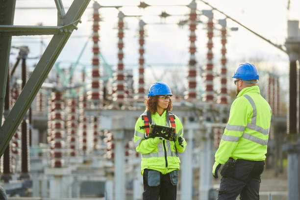 Best Affordable Electrical Installation  in Rice, MN